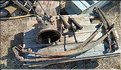 IMG_20250725_101056